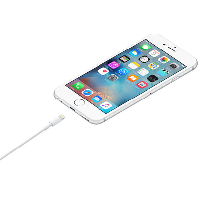 Apple Lightning to USB Cable - 1M / White