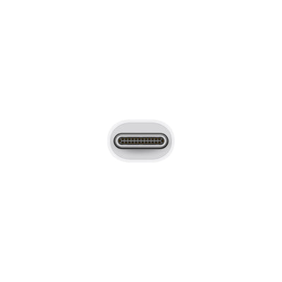 Apple USB Type-C to Thunderbolt 2 Adapter - White