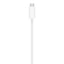 Apple MagSafe Charger for iPhone - White