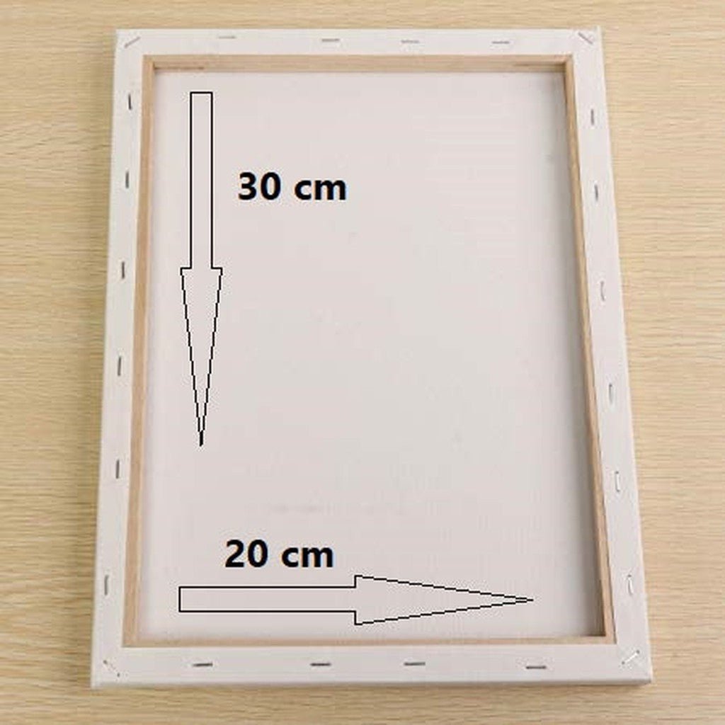 Canvas 20 X 30 Cm Stretched Canvas