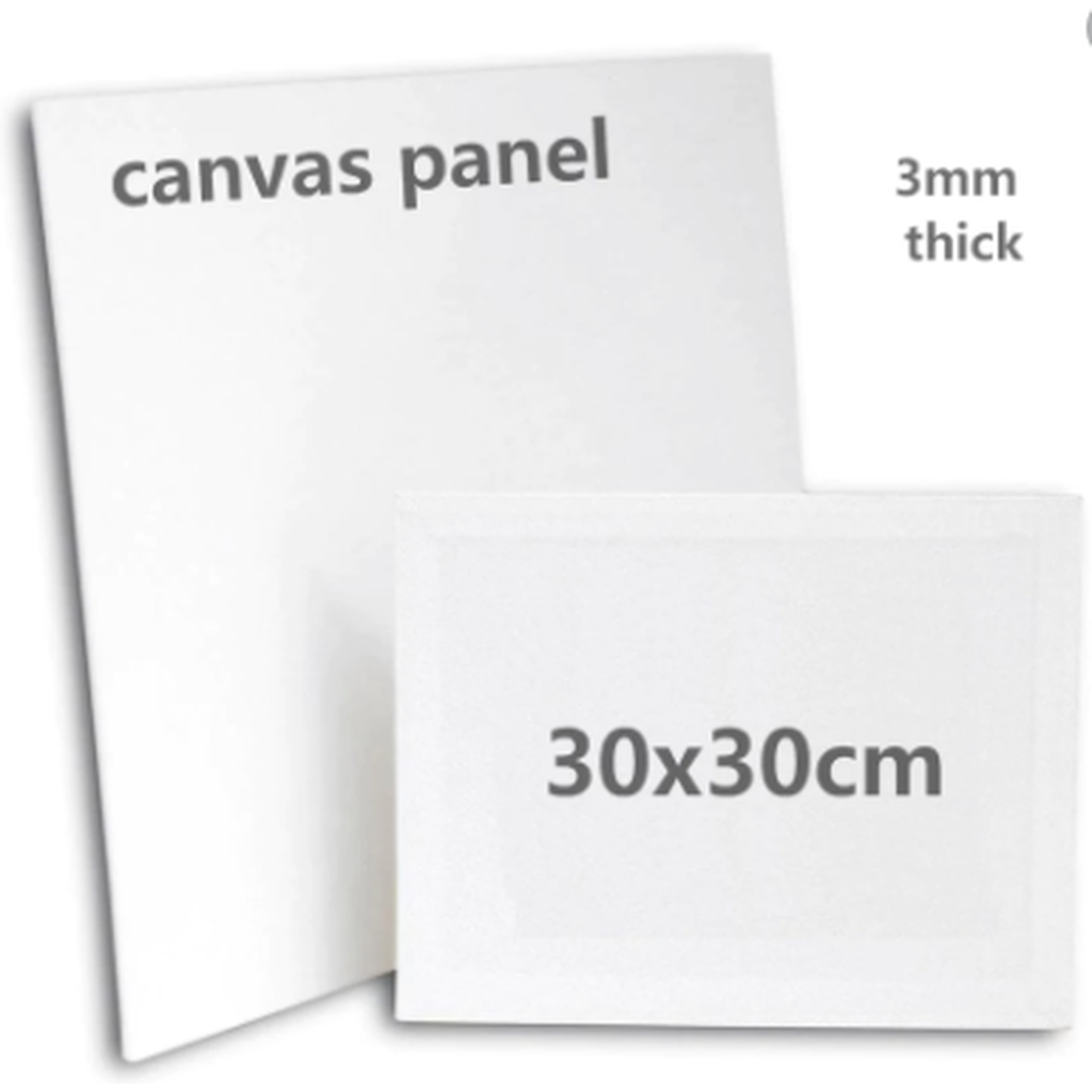 Canvas 30 X 30 Cm Stretched Canvas