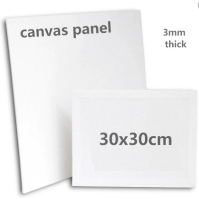Canvas 30 X 30 Cm Stretched Canvas
