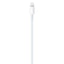 Apple USB-C to Lightning Cable - 1 Meter / White